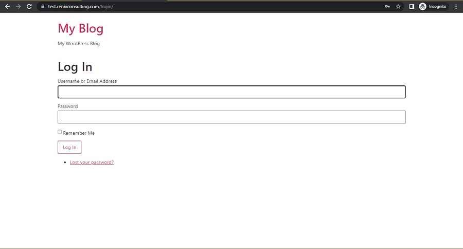 Screenshot of Theme My Login Login Page