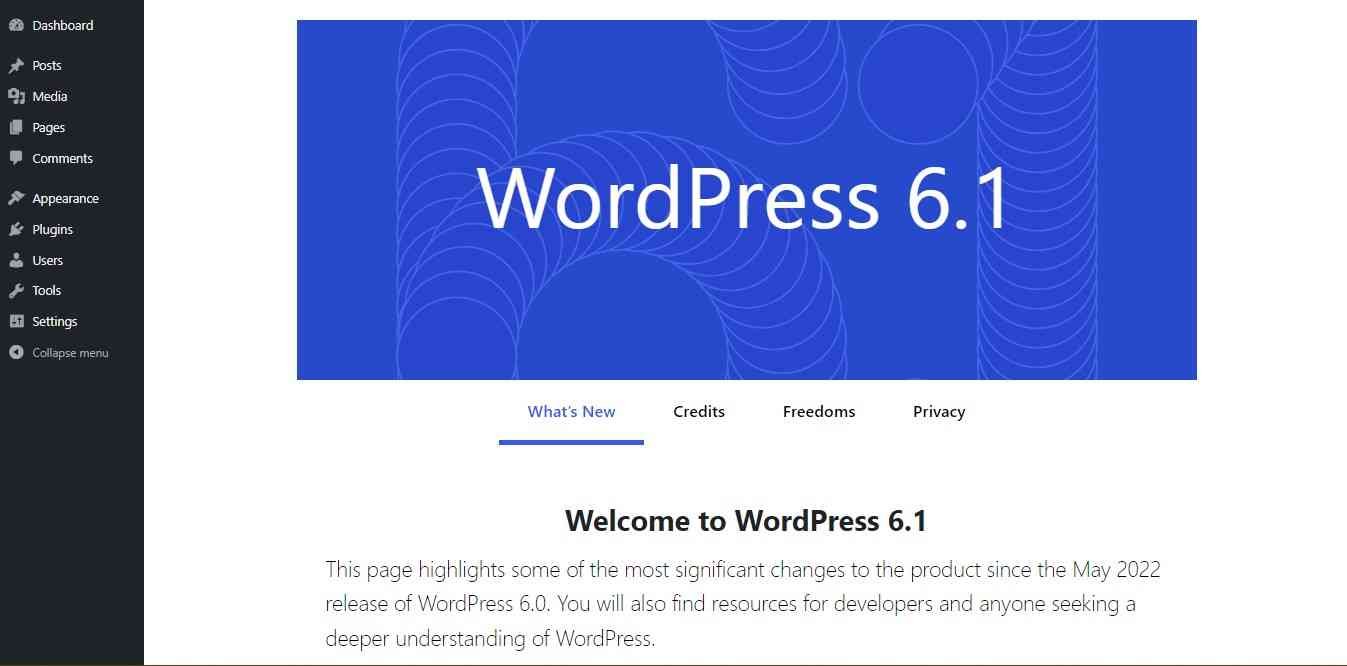 Screenshot of Updated WordPress application